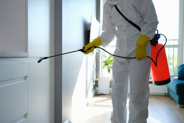 Certified Mold Removal in Sumrall, MS